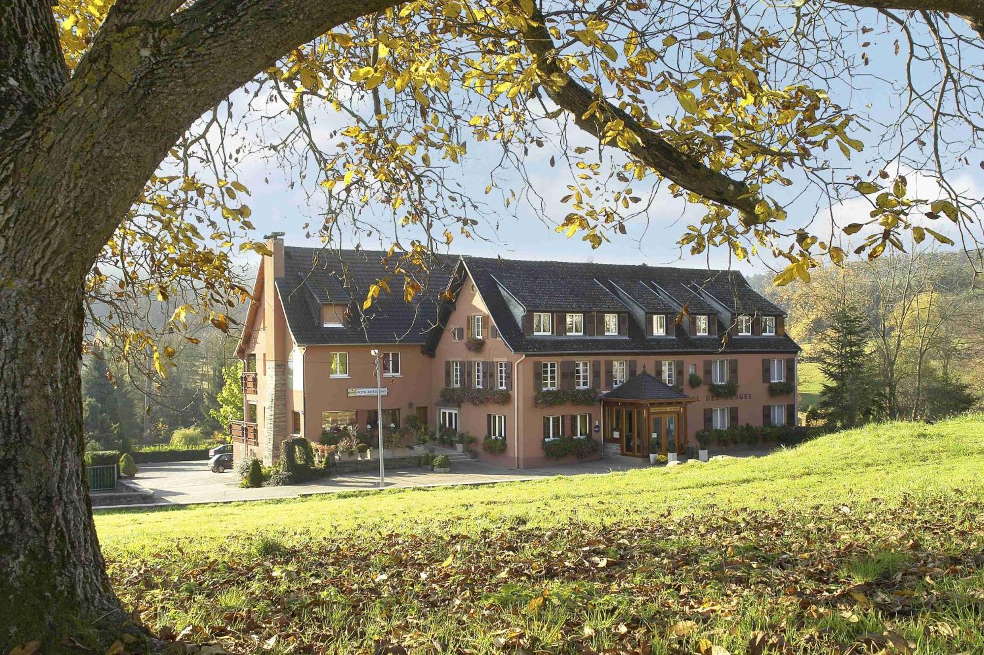 Hotel Restaurant Des Vosges ビルケンヴァルト エクステリア 写真